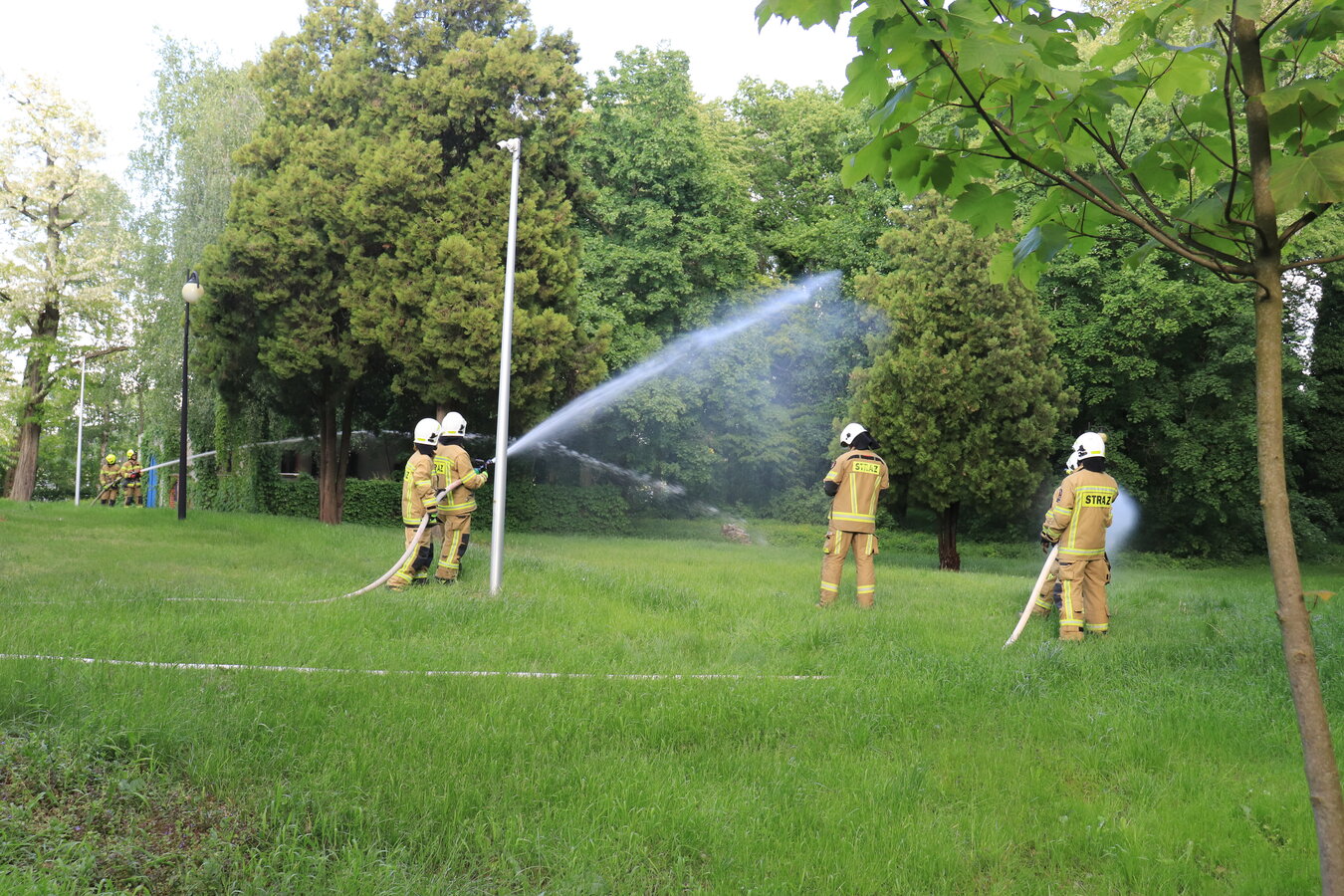 Akcja ewakuacyjna