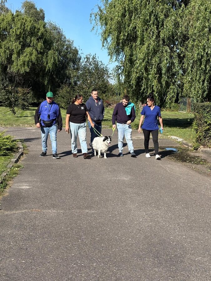 Z sercem o bezpieczeństwie i terapii